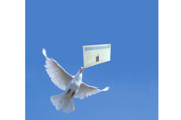 postduif foto om deliverability uit te leggen van kit en mailblue mails.